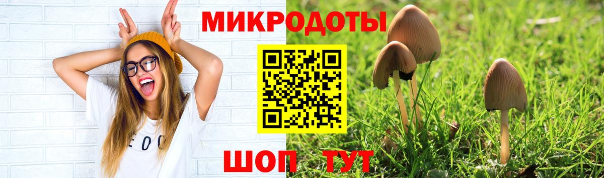 Галлюциногенные грибы GOLDEN TEACHER  Вход с VPN  Отрадное 