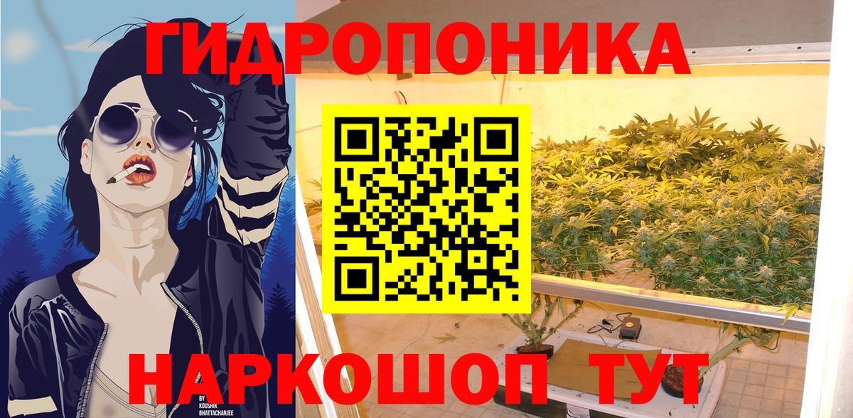 Бошки Шишки семена  Вход с VPN  Марихуана Amnesia  Конопля ГИДРОПОН  Отрадное  Шишки марихуана гибрид 